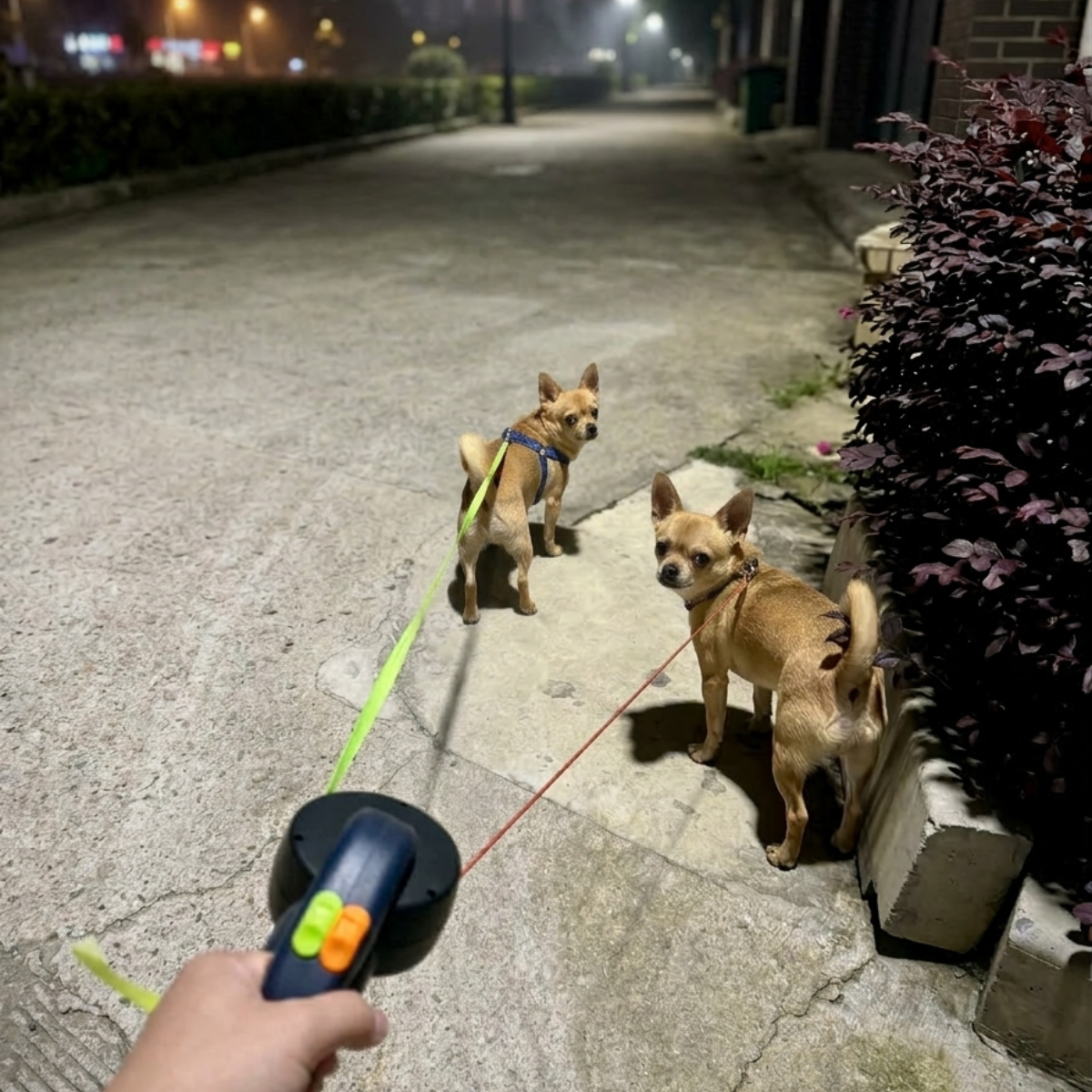DualGlide™ Pro: Stress-Free Two-Dog Walking System