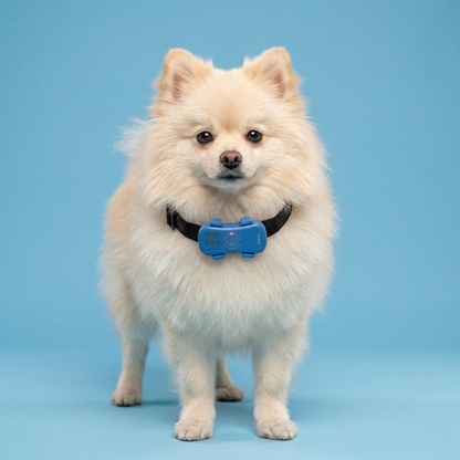 PawSecure™ Live GPS Protection Tracker