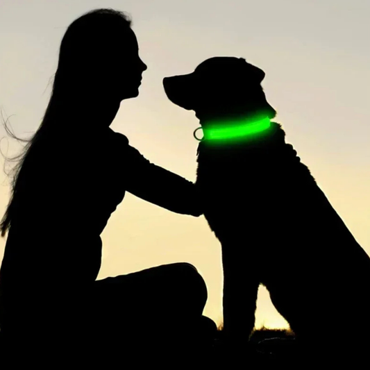 GlowPup Collar: LED Light Pet Collar